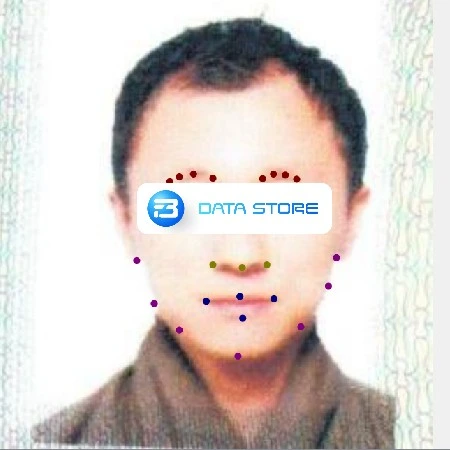 Key point annotation of human selfie & ID image from East Asia