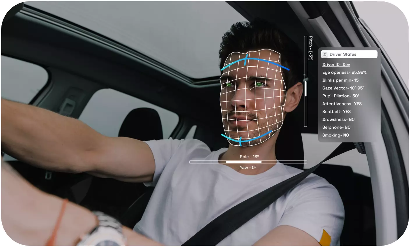 Driver Monitoring System for Automotive AI