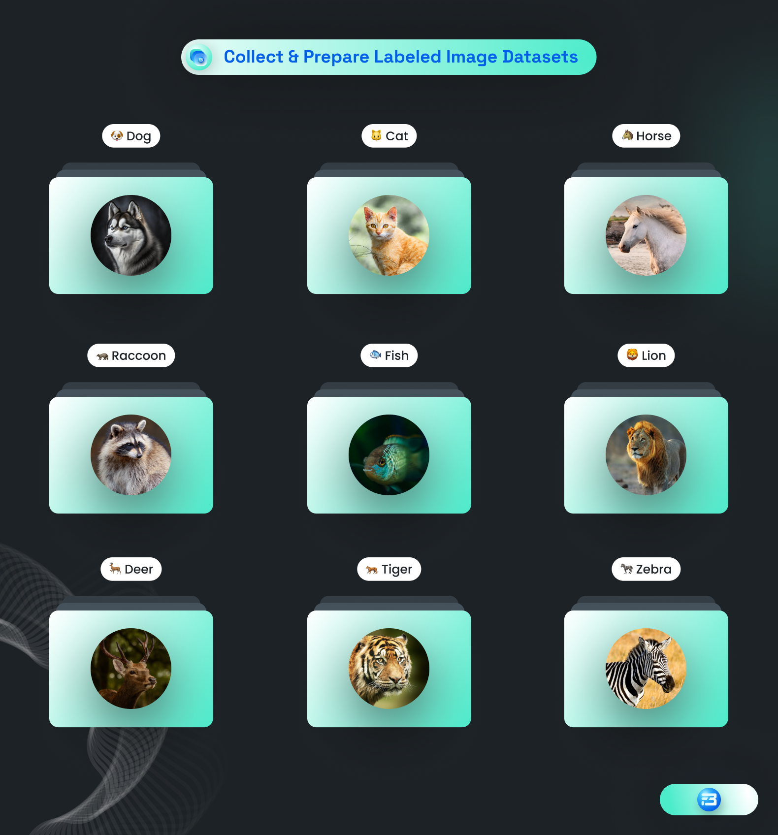 Dataset representing the different classifications of animals.