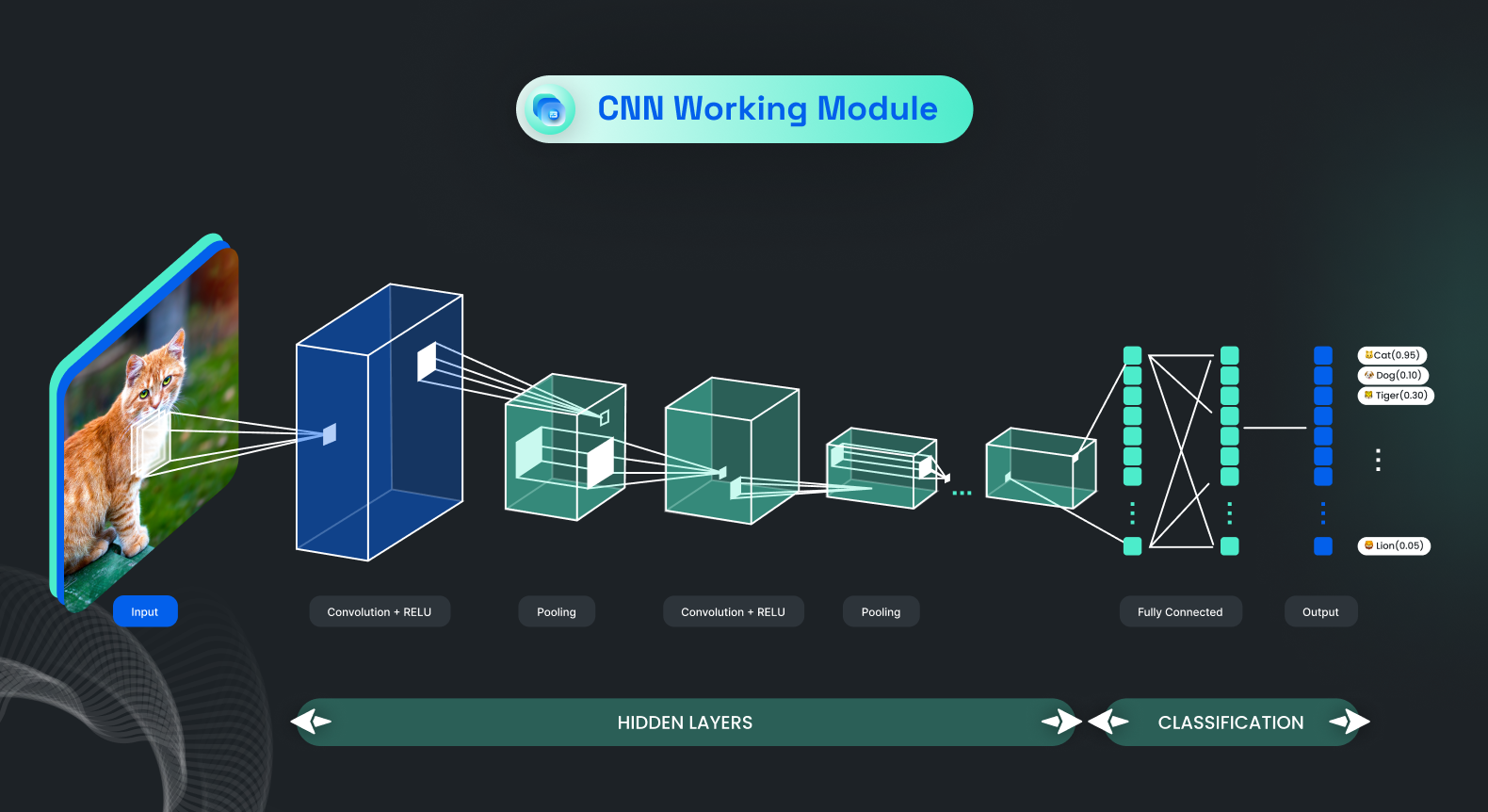 Explore convolutional neural networks and understand their structure with a module graph.