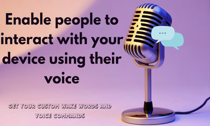 Speech data for voice assistant