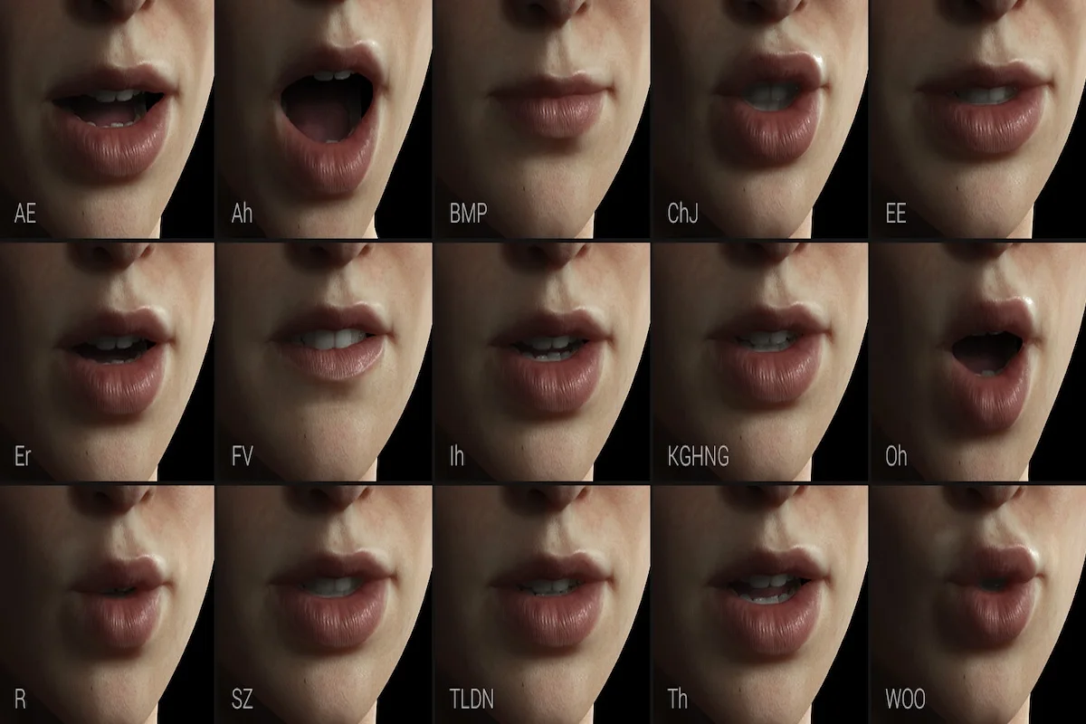 What is Visual Speech Training Data?